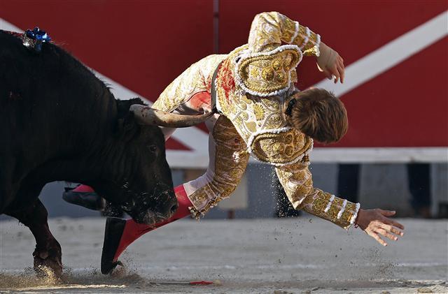 <YONHAP PHOTO-1831> epa06640988 French bullfighter Andy Younes performs with a bull during his bullfight held on the occasion of the 'Feria de Paques' Easter Festivities in Arles, southern France, 01 April 2018. The Easter Feria marks the start of the French bullfighting season. EPA/GUILLAUME HORCAJUELO/2018-04-02 05:46:38/ <저작권자 ⓒ 1980-2018 ㈜연합뉴스. 무단 전재 재배포 금지.>