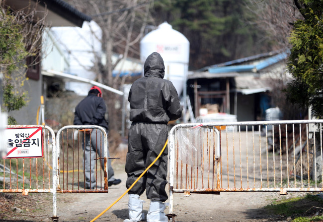 Quarantine officials disinfect a pig farm in Daejeon, 165 kilometers south of Seoul, on March 28, 2018, following this year's first foot-and-mouth disease outbreak in South Korea. (Yonhap)