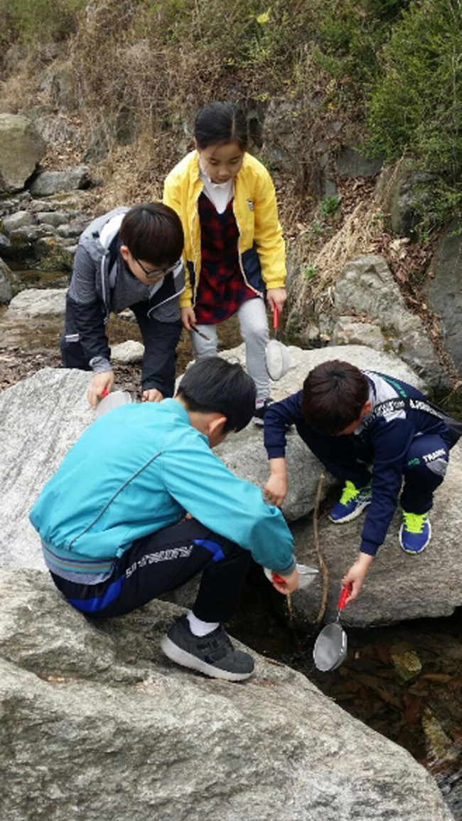 성남 대원초 5학년생들이 사기막골에서 물속 생물 채집 관찰중이다.[사진=성남시 제공]
성남 대원초 5학년생들이 사기막골에서 물속 생물 채집 관찰중이다.[사진=성남시 제공]