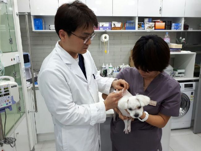 [사진=광견병 접종]
[사진=광견병 접종]