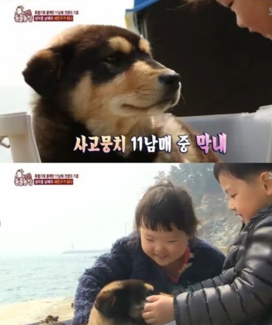 동물농장 ‘막내 블랙탄’ 보금자리 된 녹도 어디? “사슴 닮은 청정 전원”