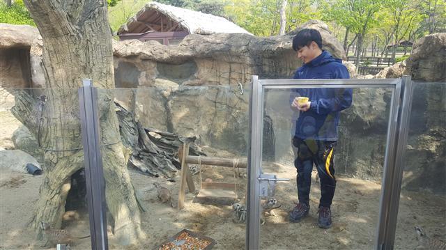 서울 뉴딜일자리 ‘쥬 아카데미 동행전문가’로 일하는 강승구 씨가 미어캣에게 먹이를 주고 있다(왼쪽 사진). 서울 뉴딜일자리 ‘쥬 아카데미 동행전문가’로 일하는 안은혜 씨가 어린이들 상대로 토끼에게 먹이 주는 법을 알려주고 있다.  [제공=서울동물원]