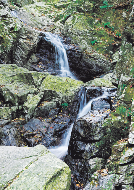 소금산 출렁다리