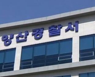 (연합뉴스)