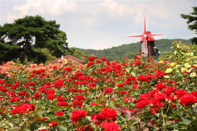 [제공=서울시]