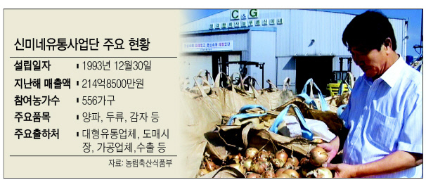 김대성 신미네유통사업단 대표가  양파를 살펴보고 있다.  [제공=신미네유통사업단］
