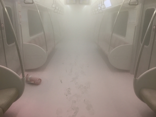 Inside the train(Seoul Metropolitan Police Agency Subway Unit)