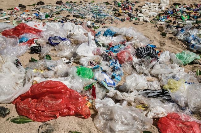 Plastic bags on beach (UNEP)