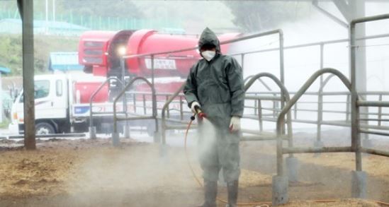 A quarantine official vaccinates a cattle market in Gongju, 160 kilometers south of Seoul, on April 24, 2018. (Yonhap)