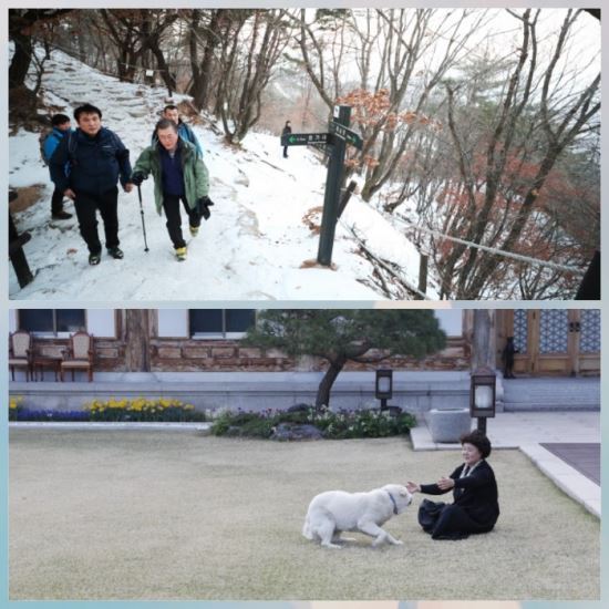 President Moon Jae-in hikes with six commendable citizens on New Year's Day (top), first lady Kim Jung-sook plays with Maru. (Photos provided by Cheong Wa Dae)