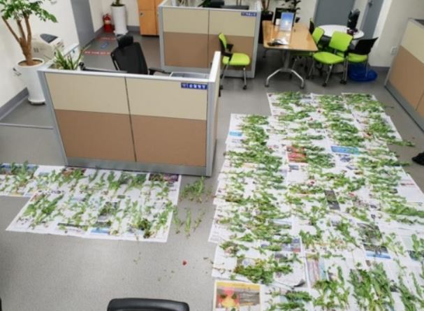 Photo provided by Guro Police Station. (Yonhap)