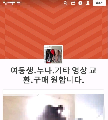 텀블러에 올라온 음란물들. 별도의 성인인증이 요구되지 않는다.