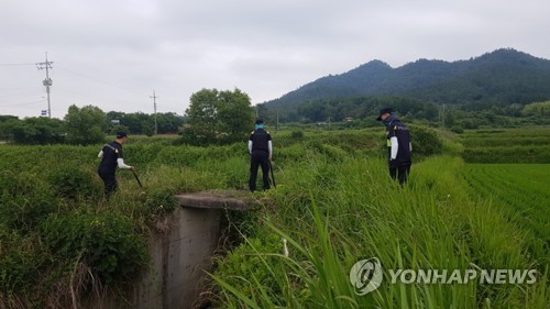 [연합뉴스 자료사진]
