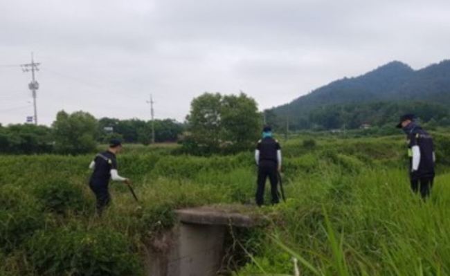 Search and rescue teams near a mountain in Doam-myeon, Gangjin (Yonhap)