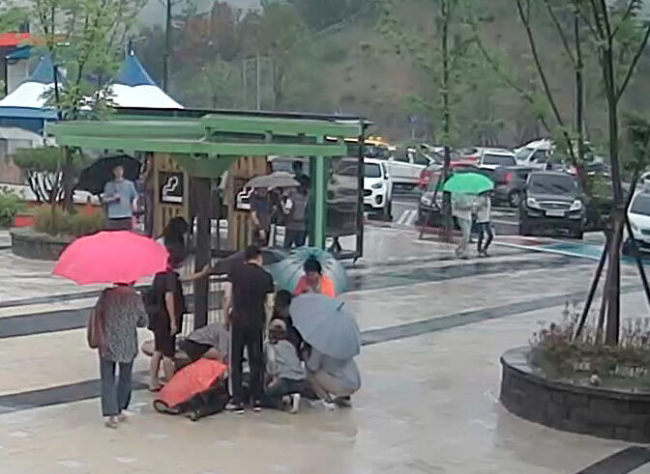 Citizens form a team to save Park (Yonhap)
