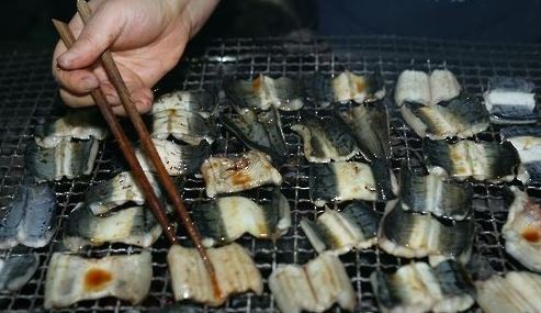 (연합뉴스)