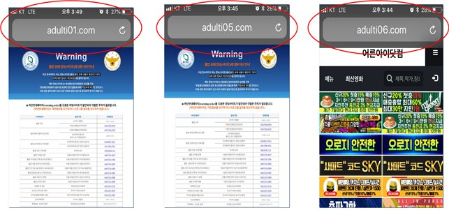 사진은 대체사이트 어른아이닷컴 생성사례