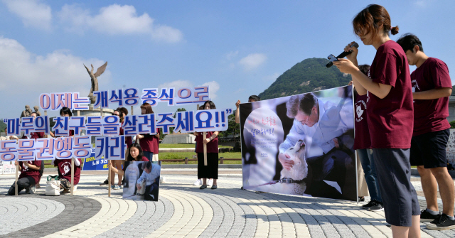 제헌절이자 초복인 17일은 식용견의 수난일이다. '동물권행동 카라' 단체가 청와대 분수대 앞에서 시용견을 금지하는 기자회견을 갖고 있다. 이 단체는 청와대에서 키우는 개 '마루'와 문재인대통령이 함께 반려하는 사진을 배경으로 식용견과 반려견은 절대 구분될수 없다고 주장하며 개 식용을 반대하는 탄원서를 청와대에 제출했다. <br />정희조 기자/checho@heraldcorp.com  180717