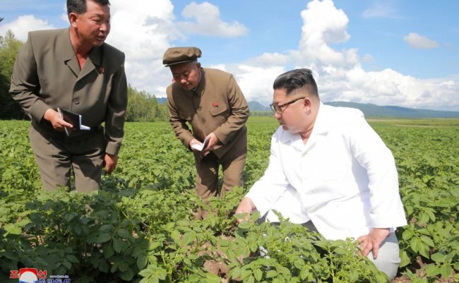 North Korea leader Kim Jong-un inspects Chunghung farm in Samjiyon County in this undated photo released by North Korea's Korean Central News Agency on July 10. (Reuters)