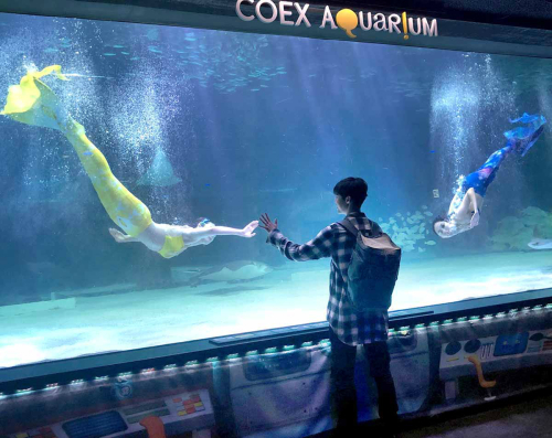 (COEX Aquarium)