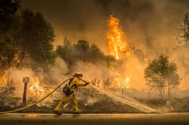A firefighter waters down a back burn as a wildfire advances to a residential district in Redding, California. (AP-Yonhap)