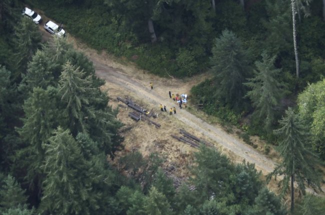 Workers gather in a staging area Saturday, Aug. 11, near Steilacoom, Wash., near the site on Ketron Island in Washington state where an Horizon Air turboprop plane crashed Friday after it was stolen from Sea-Tac International Airport. (AP)