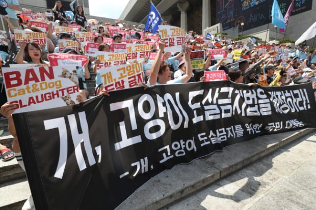 Protesters hold signs asking for the ban of cat and dog slaughter in front of Sejong Center in Jongno-gu on July 15. (Yonhap)