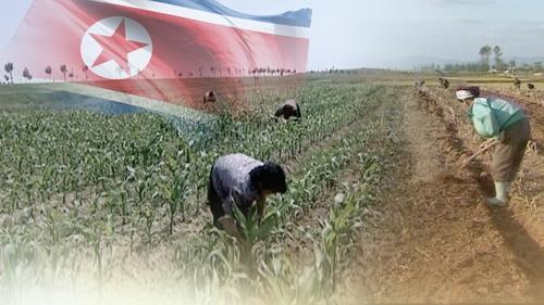 (Yonhap)