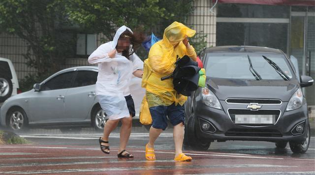 제주 해안가에 파도로 떠밀려온 것으로 보이는 등부표가 올라와 있다.