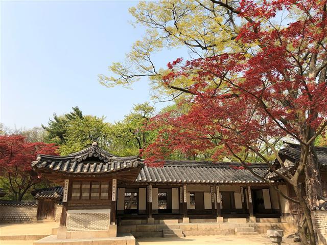 창덕궁 후원.