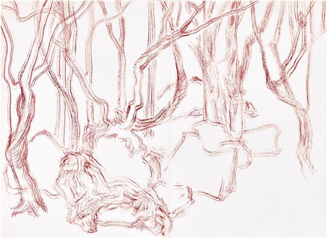 이호억, 안덕곶자왈, 화첩에 분채,
34×46cm, 2018.  [제공=갤러리조선]