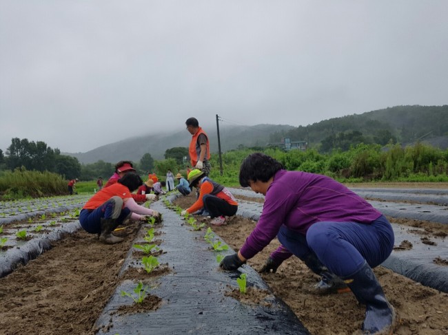 [사진제공=용인시]
[사진제공=용인시]