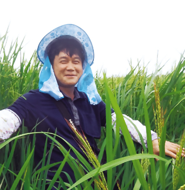조준현 국립식량과학원 연구사
밀가루보다 가격경쟁력 더 높은
제면전용 고아밀로스 품종 보급