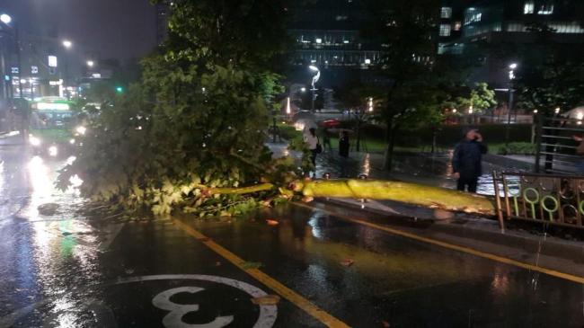 “상상도 못한 현상”…기상청, 서울 ‘물폭탄’ 강수대 이동에 깜짝