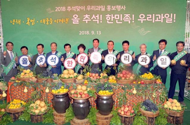 농협(회장 김병원)은 13일 오후 농협하나로마트 양재점에서 농림축산식품부(장관 이개호), 생산·소비자단체와 공동으로 ‘2018 추석맞이 우리 과일 소비촉진 캠페인’ 을 펼쳤다. 이날 행사는 최근 지속된 기상재해로 과일 생산량이 감소해 가격 급등이 우려됨에 따라, 소비자 장바구니 물가를 안정시키고 과일 소비를 촉진하기 위해 마련됐다. 황해창 기자/hchwang@heraldcorp.com