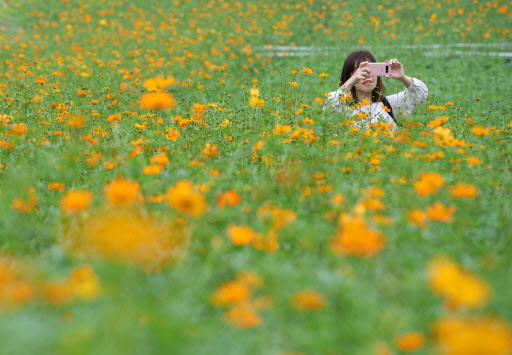(Yonhap)