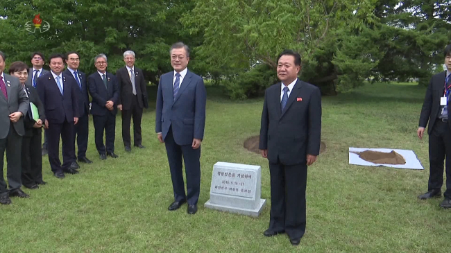 President Moon Jae-in and north Korea's Vice Chairman of the State Affairs Commission Choe Ryong-hae pose in front of the tree Moon planted in Pyongyang on Wednesday. Yonhap
