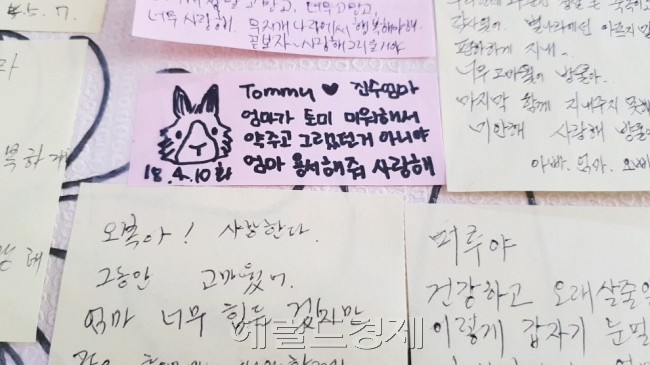 납골당에 붙여진 가족들이 반려동물에게 보낸 편지들. [이민경 기자/think@heraldcorp.com]