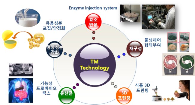 물성제어기술을 이용한 고령친화형 특수용도식품 개발 모식도.[제공=한국식품연구원]