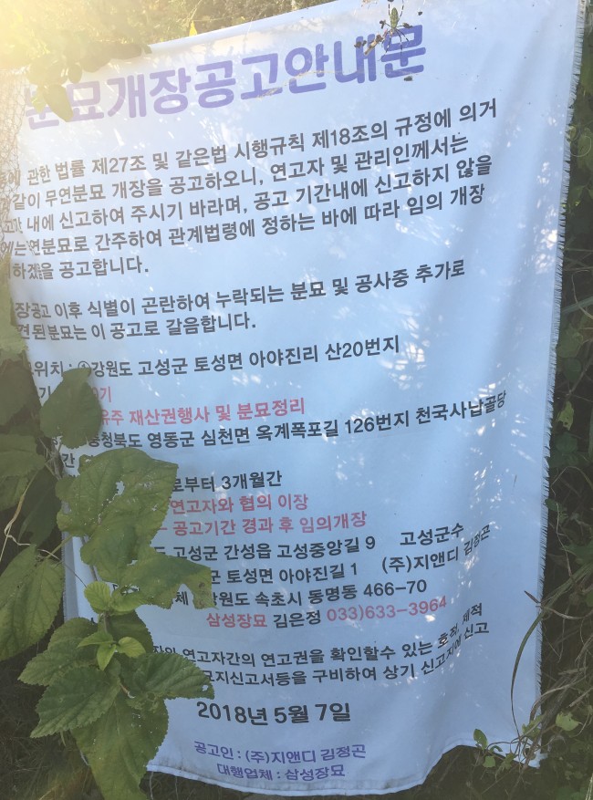 강원 고성군 아야진 일대에 아파트 분양승인절차를 진행중인 시행사가 고성군과 위임협약없이 내건 분묘개장공고 안내문. 안내문. 11일에도 버젓이 5월7일자로 걸려있다.