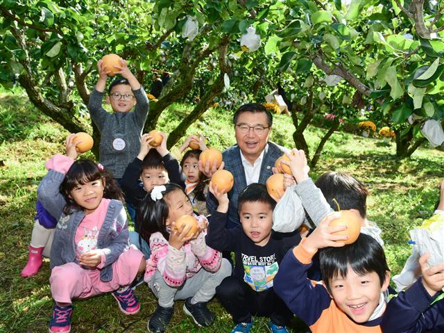 “고사리 손으로 ‘황실배’ 수확 했어요”