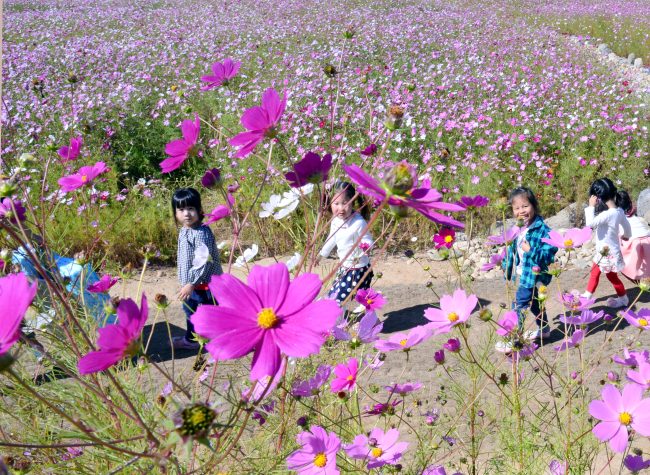 (Photographed by Park Hyun-koo/The Korea Herald)