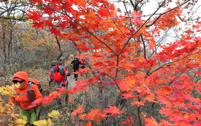 Hikers climb Seoraksan or Mount Seorak in Yangyang in South Korea's northeastern province of Gangwon. (Yonhap)