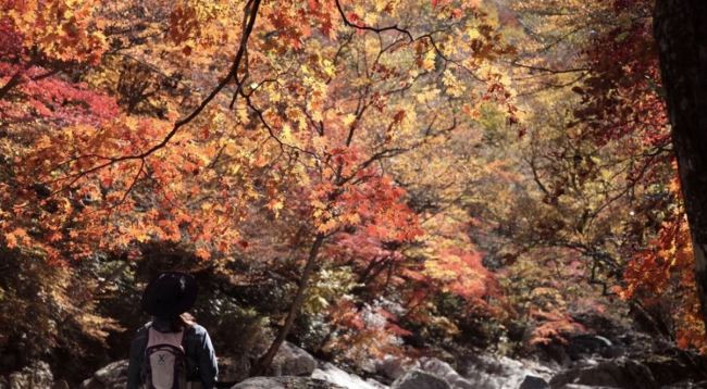 (Yonhap)