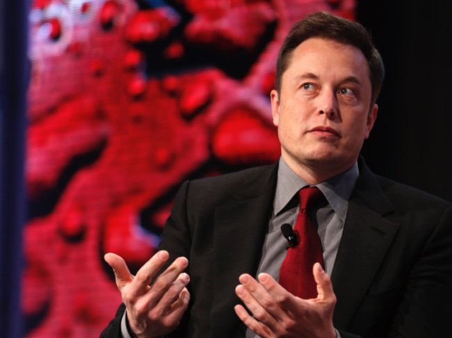 Tesla Motors CEO Elon Musk (Reuters)