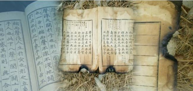 (연합뉴스)