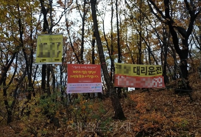 등산로에 부착된 현수막들(왼쪽), 흉물스러운 모습으로 방치된 계곡식당 LP가스통들.  김성우 기자/zzz@heraldcorp.com