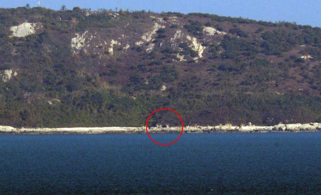 A North Korean artillery gun was not completely covered up on Gaemuri area. Yonhap