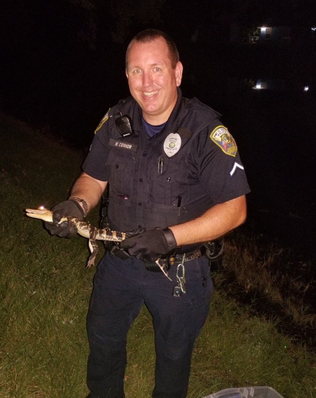 (Port St. Lucie PD 트위터)