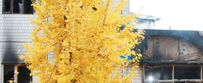 (연합뉴스)
